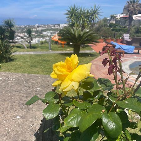 Villa La Dimora Di Zoe Forio di Ischia Exterior foto