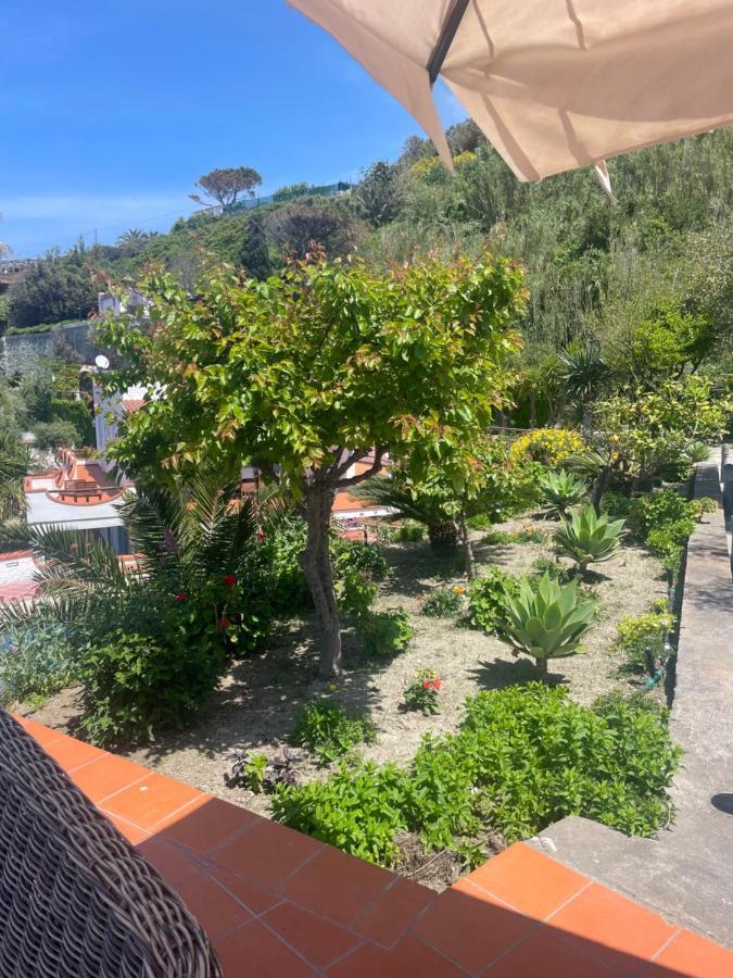 Villa La Dimora Di Zoe Forio di Ischia Exterior foto