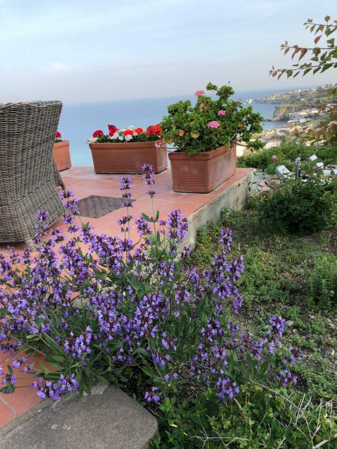 Villa La Dimora Di Zoe Forio di Ischia Exterior foto