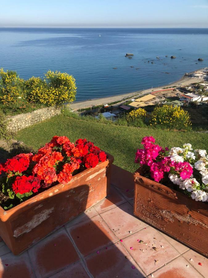 Villa La Dimora Di Zoe Forio di Ischia Exterior foto