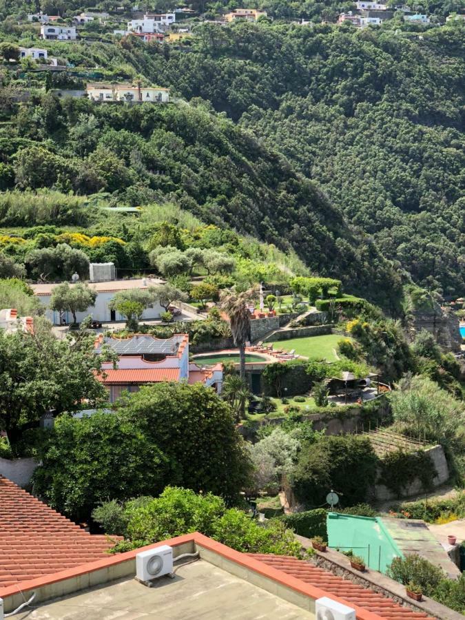 Villa La Dimora Di Zoe Forio di Ischia Exterior foto