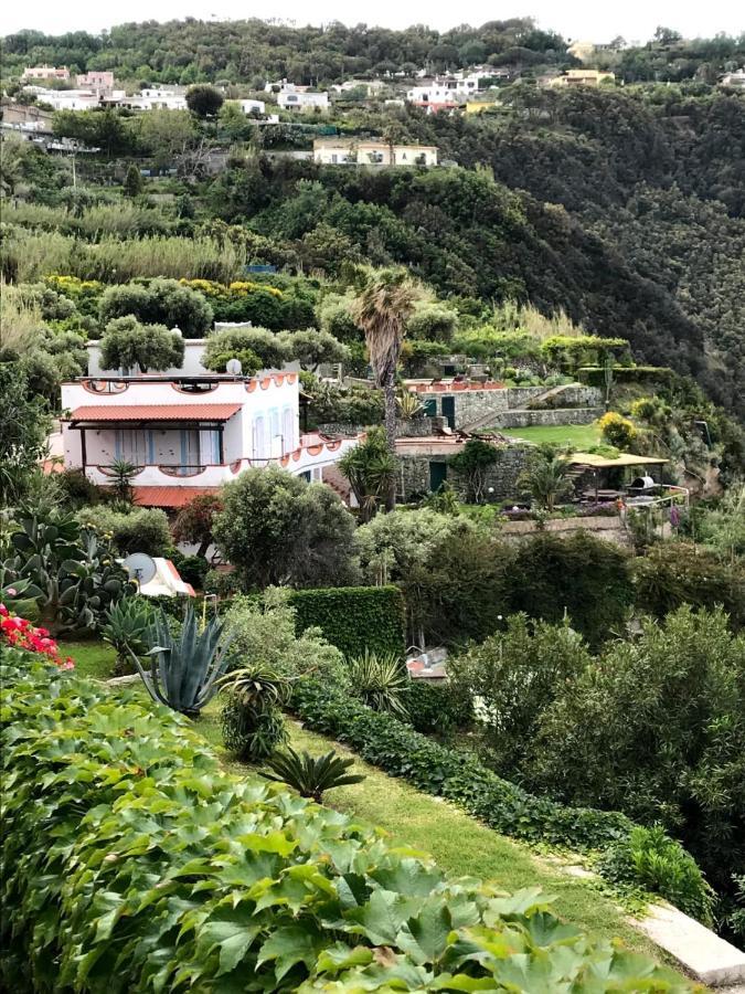 Villa La Dimora Di Zoe Forio di Ischia Exterior foto